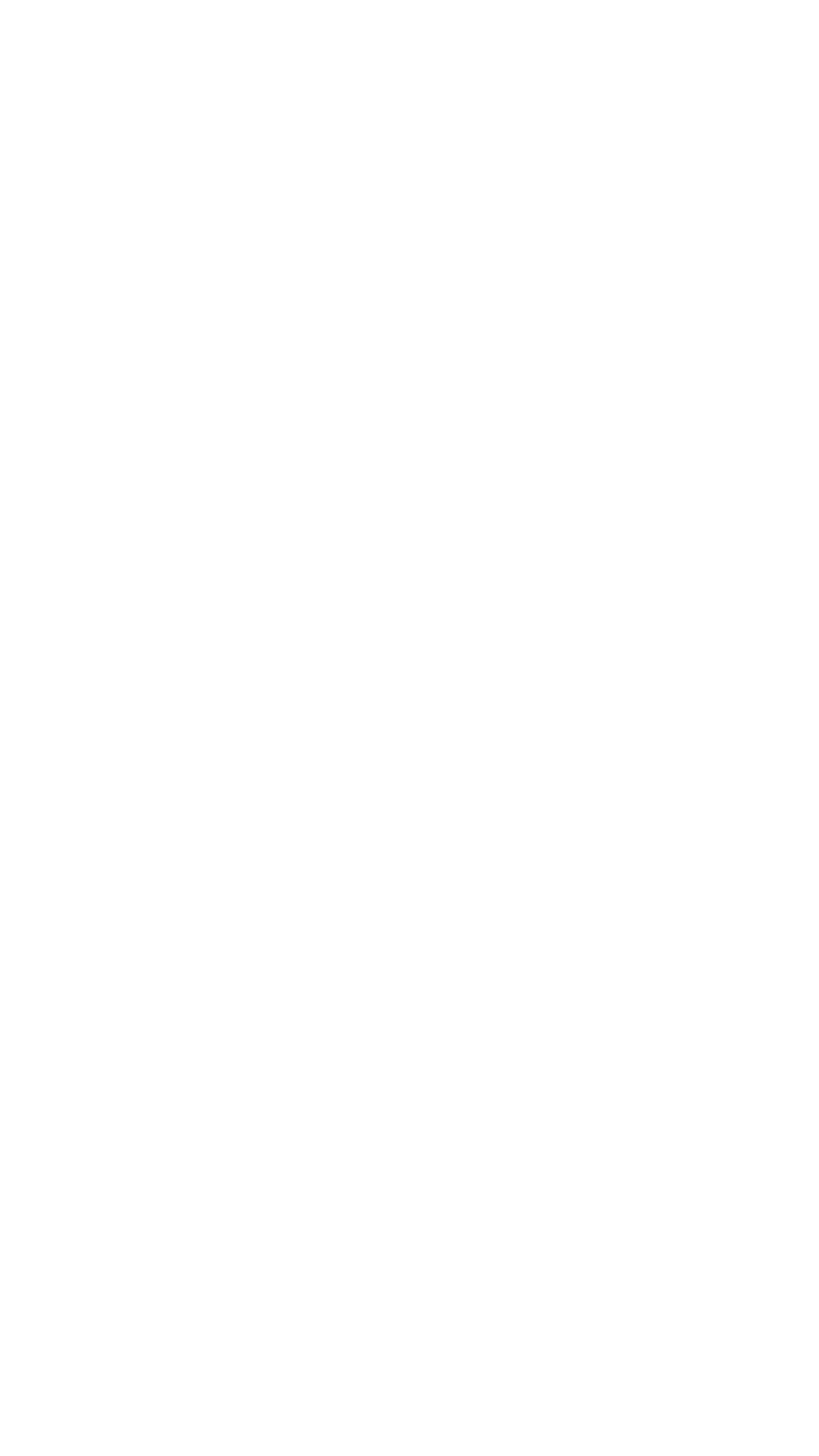 Penthouse — Roof Floor